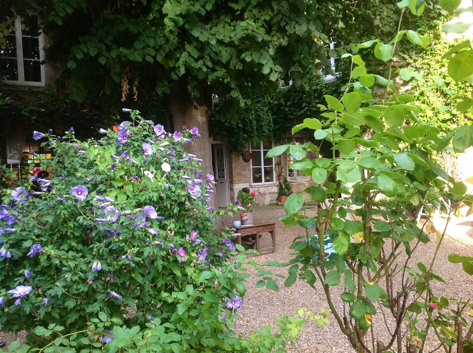 Chambres D'Hotes La Villa Alienor Les Andelys Εξωτερικό φωτογραφία